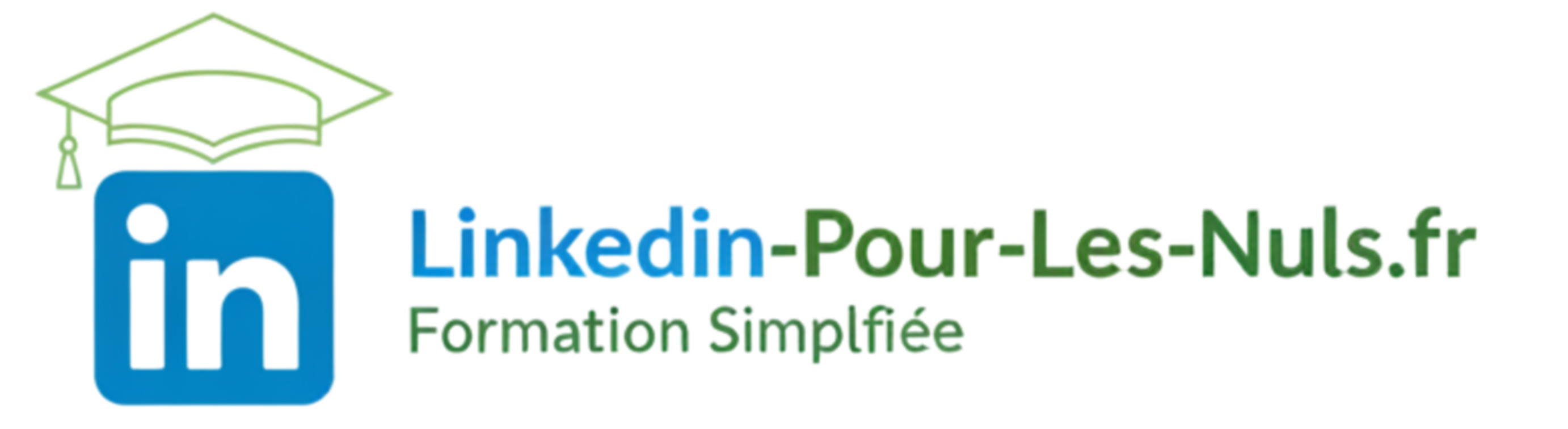 Linkedin Pour Les Nuls